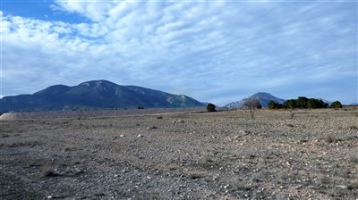 gallary-2022-05-17-628359a2c36f5