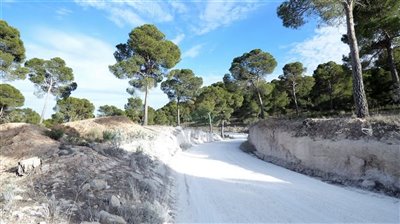 gallary-2022-05-17-62835931bba8b