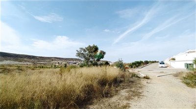 gallary-2022-11-10-636cdc99e842b