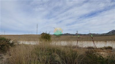 gallary-2022-11-21-637b9cf543787