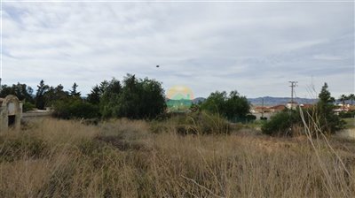 gallary-2022-11-21-637b9cfde2f48