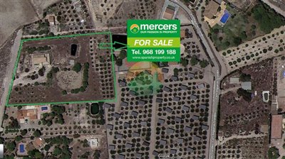 leyva04-642d69727c4a6