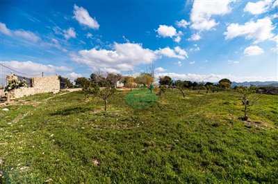 leyva04-642d697a21534