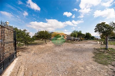 leyva04-642d698526519