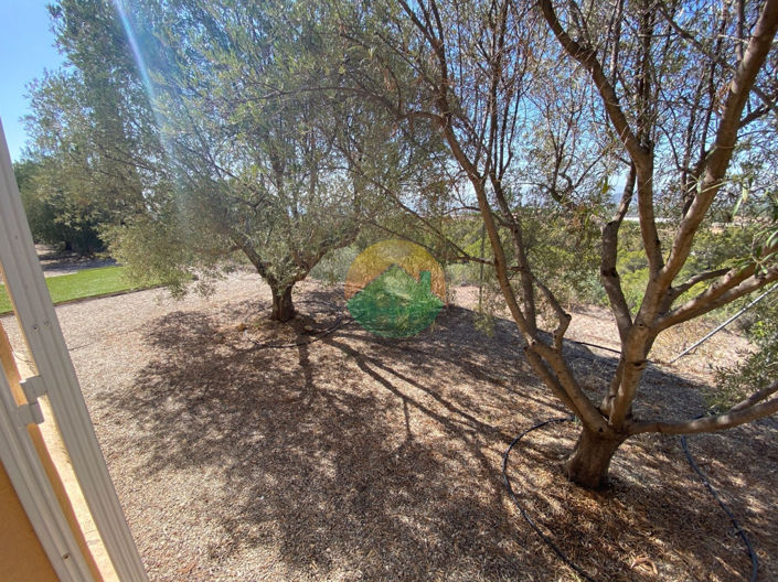 Image No.19-3 Bed Finca for sale