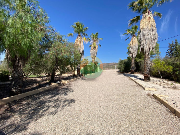 Image No.2-3 Bed Finca for sale