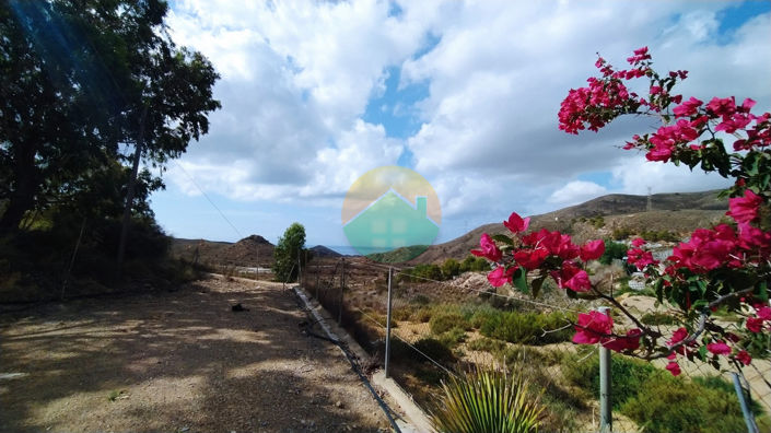 Image No.2-2 Bed Finca for sale