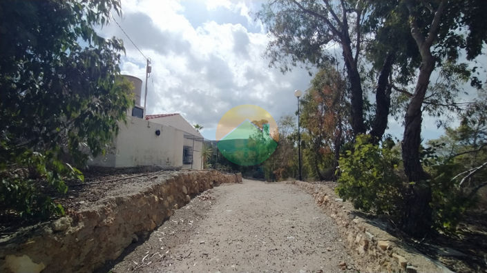 Image No.23-2 Bed Finca for sale