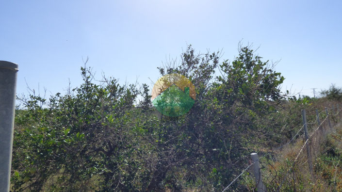 Image No.8-Plot for sale