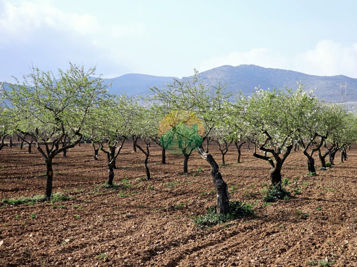 Image No.3-3 Bed Semi-Detached for sale