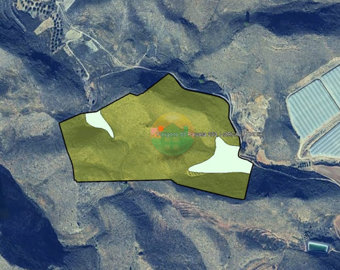 morplot-6824759529b90