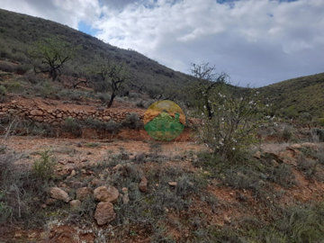 morplot-68247597273ff