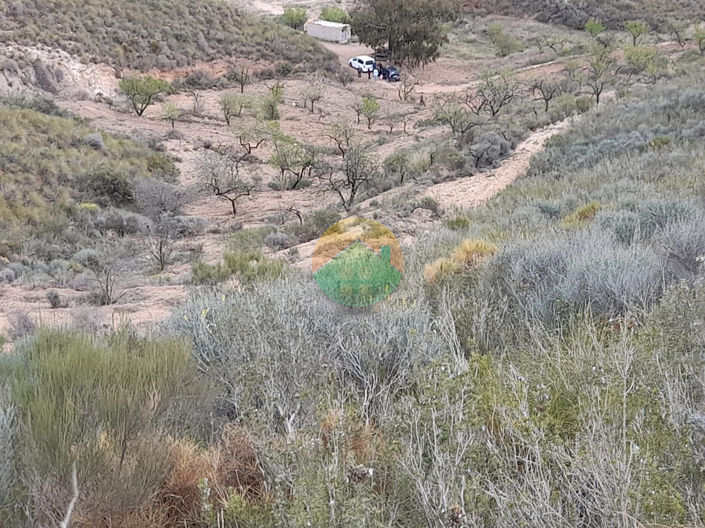 Image No.7-Finca à vendre à Lorca