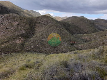 morplot-6824759a0a58c