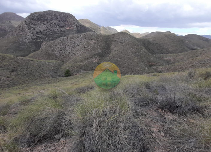 Image No.9-Finca à vendre à Lorca