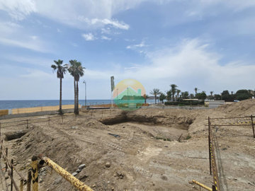 las-3-palmeras09-68553cf61e561