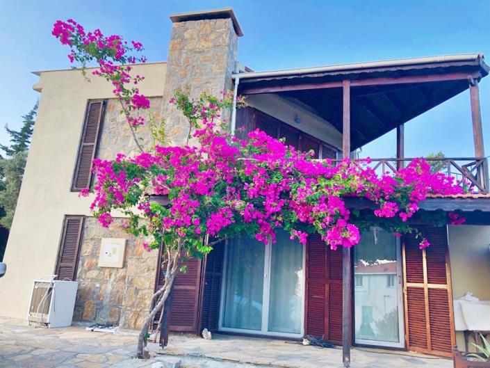 Image No.4-Maison de 6 chambres à vendre à Mazi