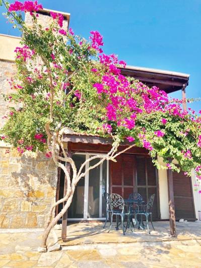 Image No.27-Maison de 6 chambres à vendre à Mazi