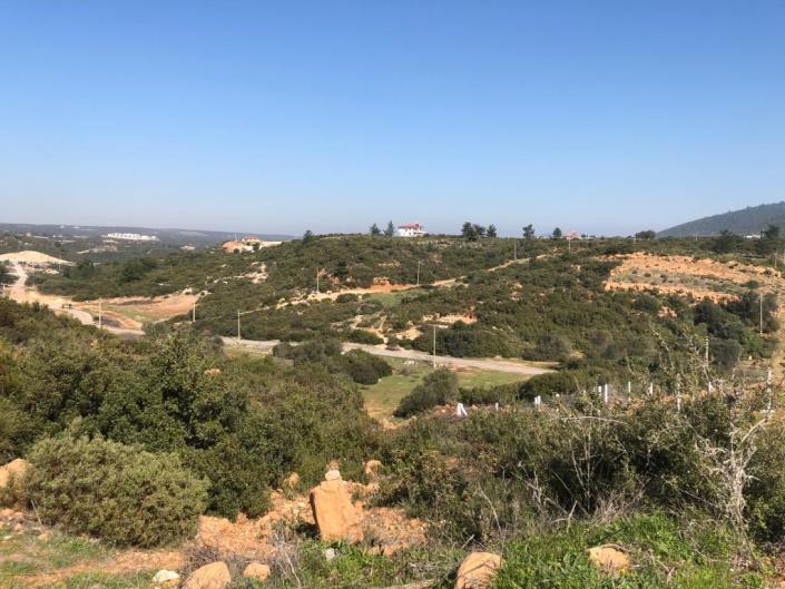 Image No.5-Land for sale