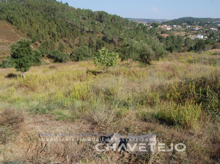 Image No.3-Plot for sale