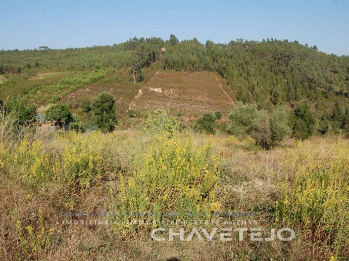 Image No.4-Plot for sale