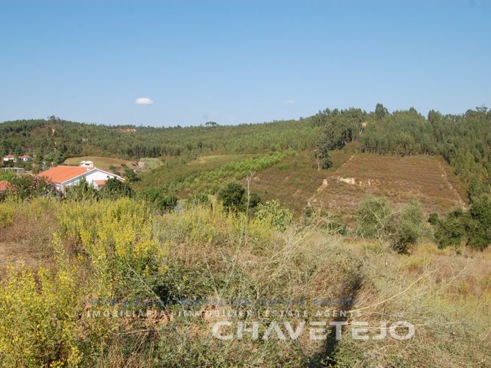 Image No.6-Plot for sale