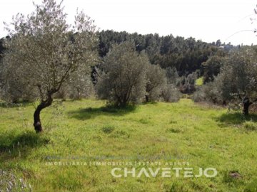 id34b76b00-0000-0500-0000-0000036be6fc