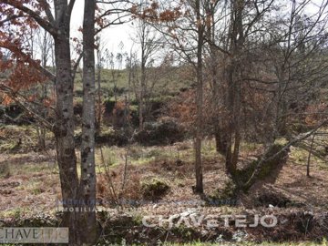 idbe04af00-0000-0500-0000-000005f0bbb7