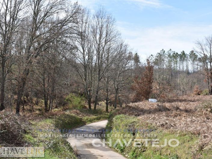 Image No.2-Terrain à vendre à Pedrógão Grande