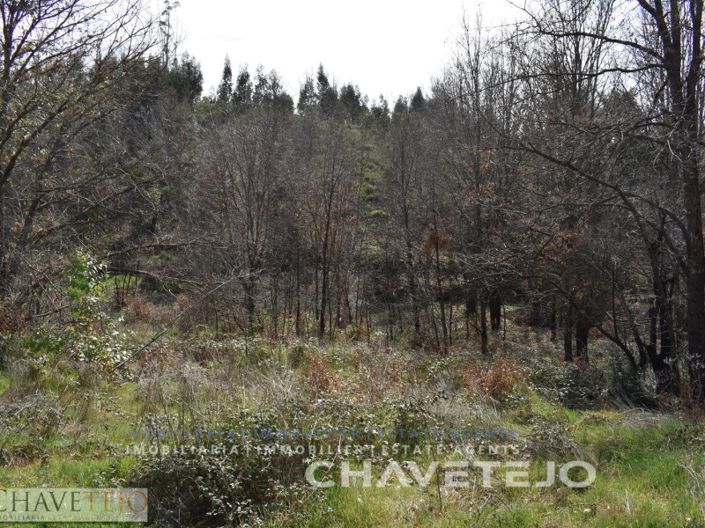 Image No.3-Terrain à vendre à Pedrógão Grande