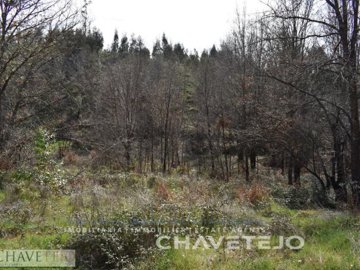 idbe04af00-0000-0500-0000-000005f0bba8