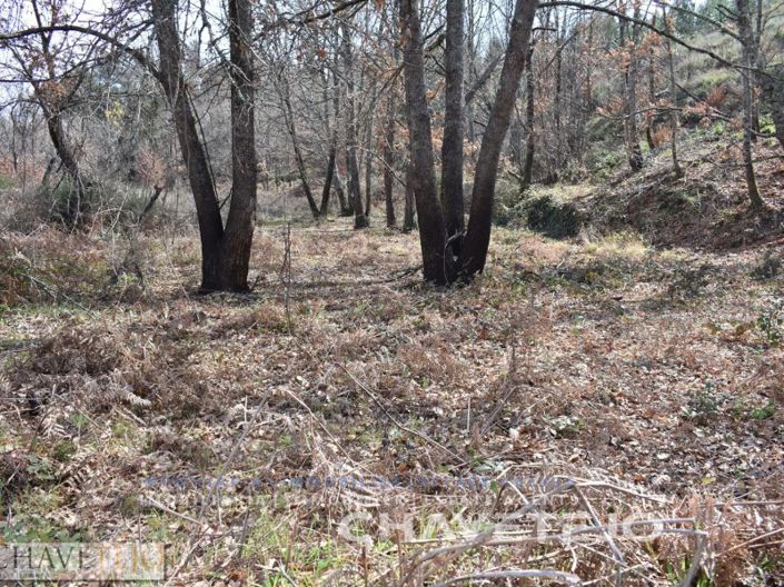 Image No.4-Terrain à vendre à Pedrógão Grande