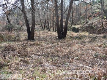 idbe04af00-0000-0500-0000-000005f0bbaa