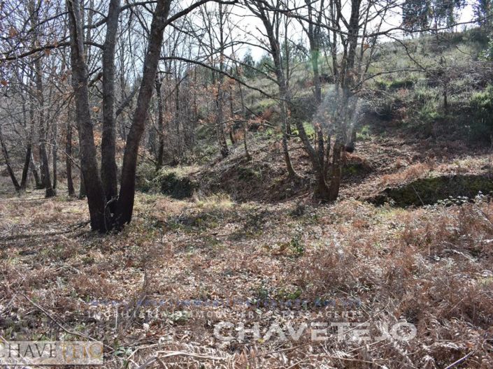 Image No.5-Terrain à vendre à Pedrógão Grande