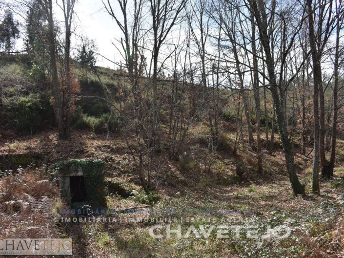 Image No.6-Terrain à vendre à Pedrógão Grande