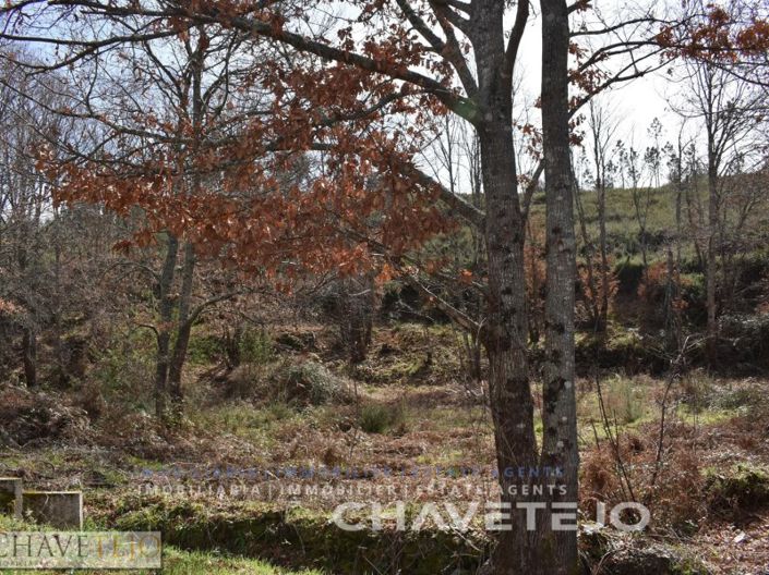 Image No.9-Terrain à vendre à Pedrógão Grande