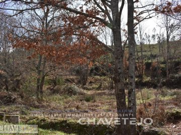 idbe04af00-0000-0500-0000-000005f0bbb5