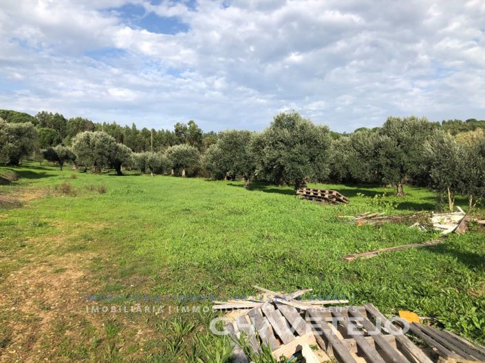 Image No.5-Plot for sale