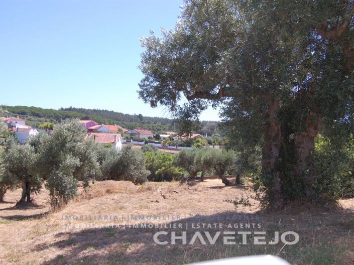 Image No.6-Plot for sale