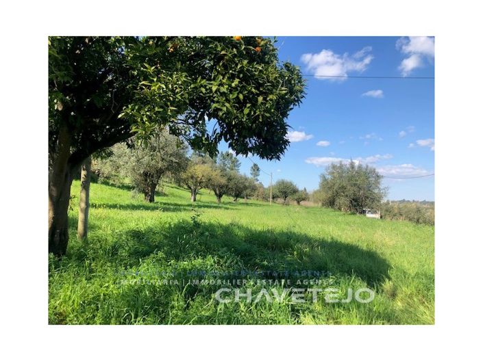 Image No.22-Maison de 2 chambres à vendre à Tomar