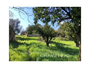 id82e6c300-0000-0500-0000-0000125a8977