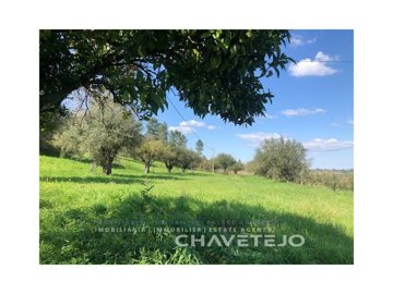 id82e6c300-0000-0500-0000-0000125a8978