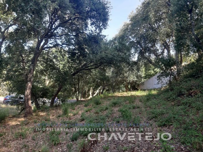 Image No.2-Plot for sale