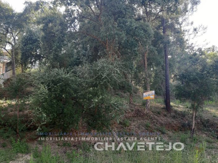 Image No.4-Plot for sale