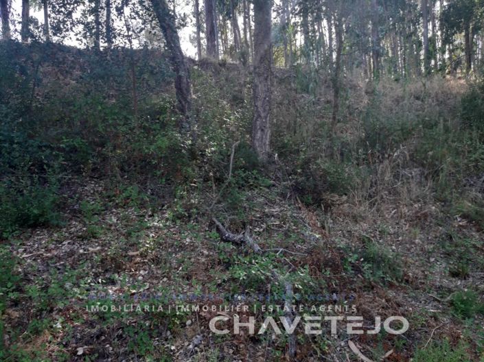 Image No.5-Plot for sale