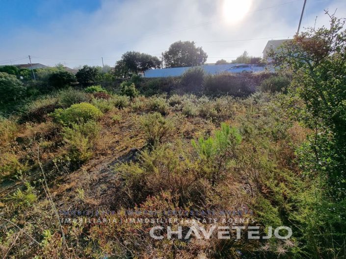 Image No.4-Plot for sale