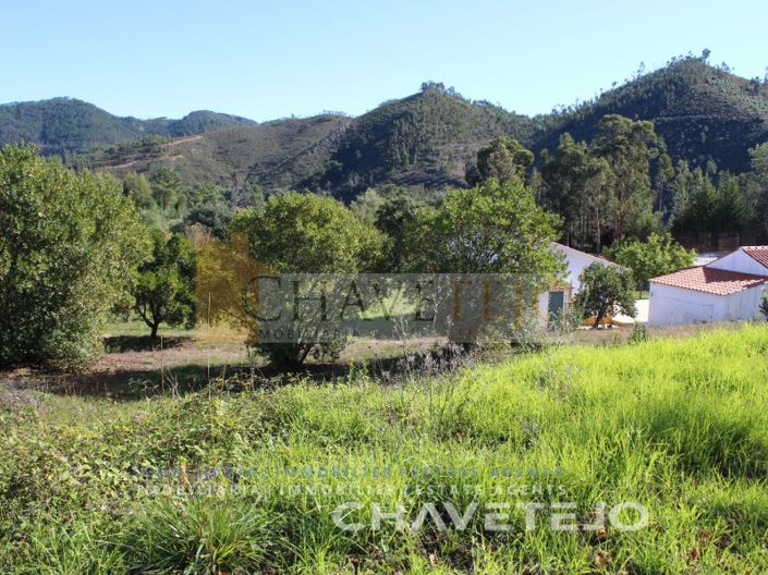 Image No.7-Terrain à vendre à Ferreira do Zêzere