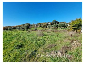 id32555101-0000-0500-0000-0000126a15ff