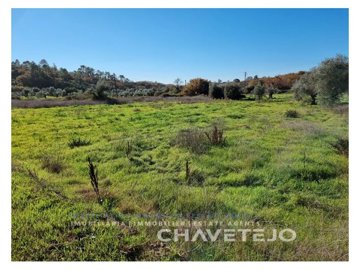 id32555101-0000-0500-0000-0000126a1600