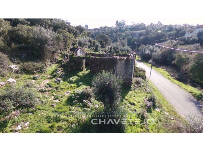 Image No.5-Ferme de 1 chambre à vendre à Ansião